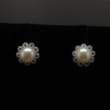 Freshwater pearl earrings - Purity