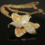 Freshwater pearl - Gold Brooch